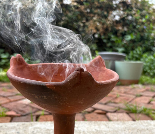 Nature: A Return to the Senses